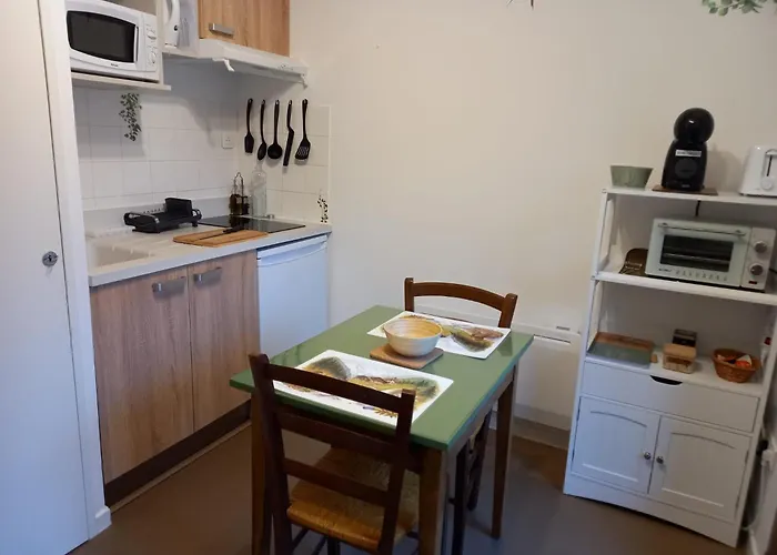 Petit Nid Douillet , T1 Avec Cuisine Independante, Au Calme, Proche Centre Ville